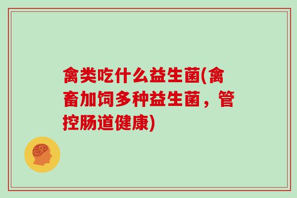 禽类吃什么益生菌(禽畜加饲多种益生菌，管控肠道健康)