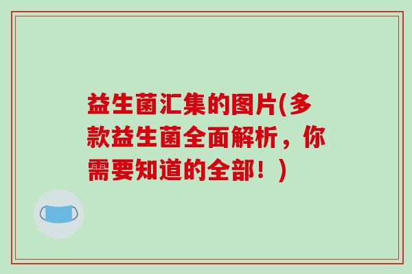 益生菌汇集的图片(多款益生菌全面解析，你需要知道的全部！)