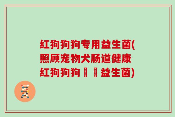 红狗狗狗专用益生菌(照顾宠物犬肠道健康 红狗狗狗專屬益生菌)