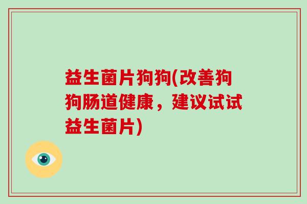 益生菌片狗狗(改善狗狗肠道健康,建议试试益生菌片) 益生菌片狗狗(改善狗狗肠道健康,建议试试益生菌片)