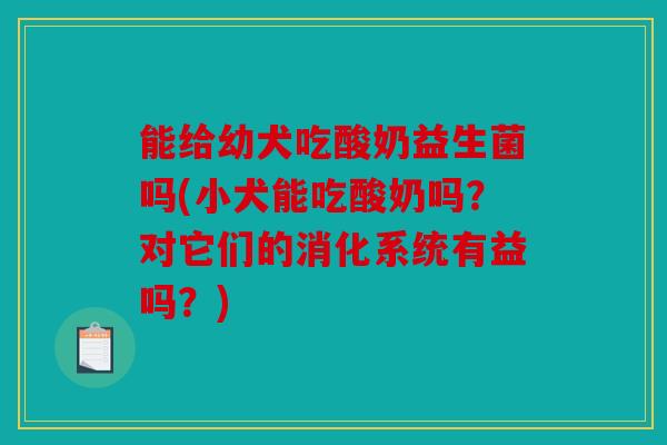 能给幼犬吃酸奶益生菌吗(小犬能吃酸奶吗?对它们的消化系统有益吗?) 能给幼犬吃酸奶益生菌吗(小犬能吃酸奶吗?对它们的消化系统有益吗?)