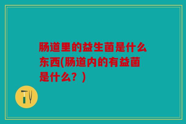 肠道里的益生菌是什么东西(肠道内的有益菌是什么?) 肠道里的益生菌是什么东西(肠道内的有益菌是什么?)