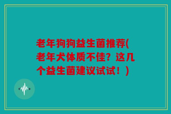 老年狗狗益生菌推荐(老年犬体质不佳？这几个益生菌建议试试！)