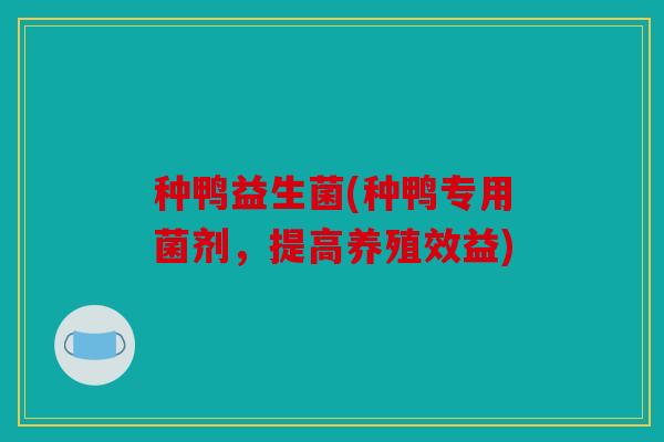 种鸭益生菌(种鸭专用菌剂，提高养殖效益)