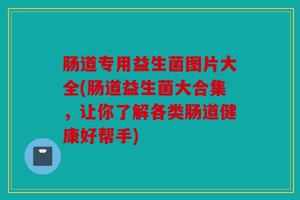 肠道专用益生菌图片大全(肠道益生菌大合集，让你了解各类肠道健康好帮手)