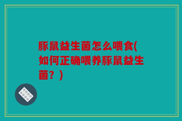豚鼠益生菌怎么喂食(如何正确喂养豚鼠益生菌？)