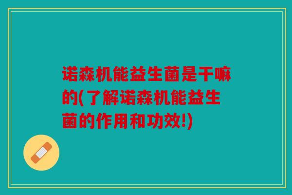 诺森机能益生菌是干嘛的(了解诺森机能益生菌的作用和功效!)