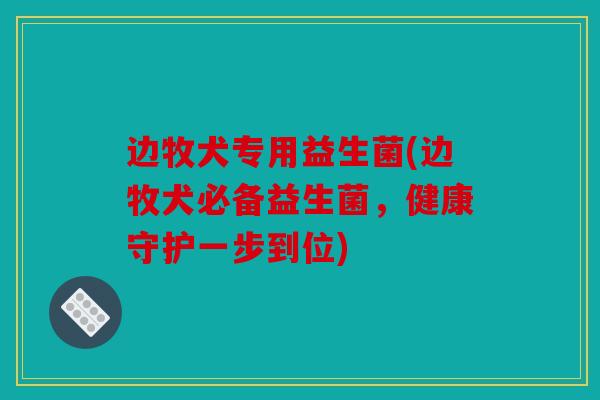 边牧犬专用益生菌(边牧犬必备益生菌，健康守护一步到位)