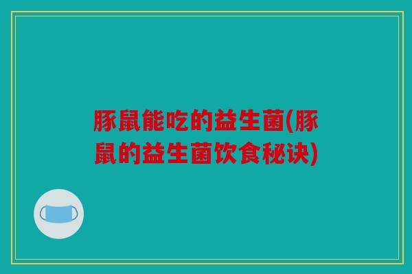 豚鼠能吃的益生菌(豚鼠的益生菌饮食秘诀)