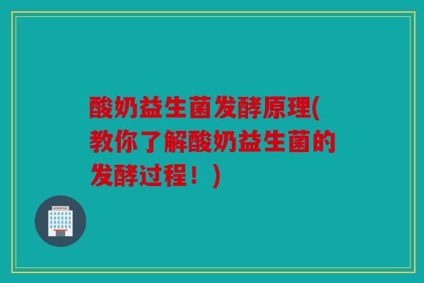 酸奶益生菌发酵原理(教你了解酸奶益生菌的发酵过程！)