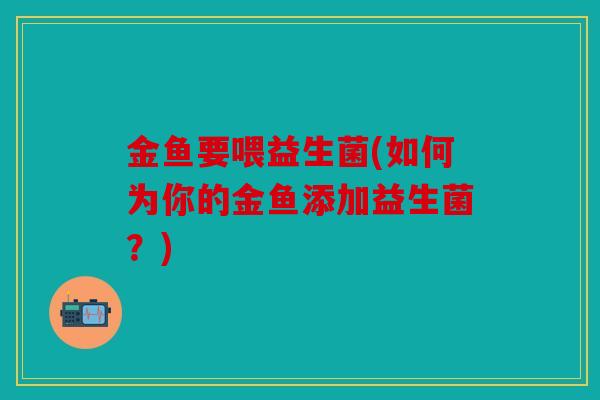 金鱼要喂益生菌(如何为你的金鱼添加益生菌？)