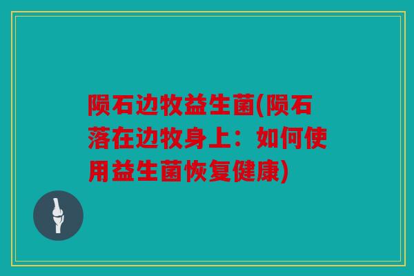 陨石边牧益生菌(陨石落在边牧身上:如何使用益生菌恢复健康) 陨石边牧益生菌(陨石落在边牧身上:如何使用益生菌恢复健康)