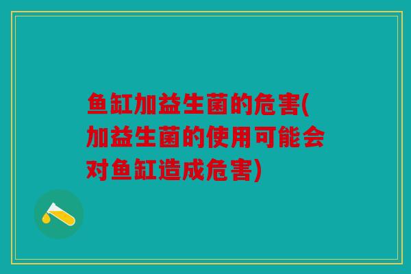 鱼缸加益生菌的危害(加益生菌的使用可能会对鱼缸造成危害) 鱼缸加益生菌的危害(加益生菌的使用可能会对鱼缸造成危害)