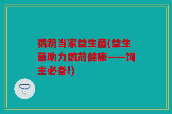 鹦鹉当家益生菌(益生菌助力鹦鹉健康——饲主必备!)