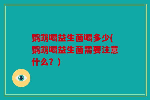 鹦鹉喝益生菌喝多少(鹦鹉喝益生菌需要注意什么？)