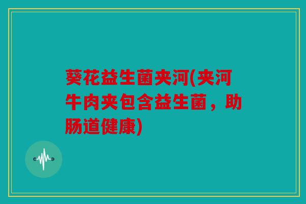 葵花益生菌夹河(夹河牛肉夹包含益生菌，助肠道健康)