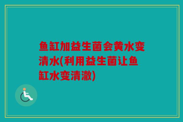 鱼缸加益生菌会黄水变清水(利用益生菌让鱼缸水变清澈)