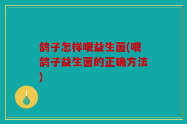 鸽子怎样喂益生菌(喂鸽子益生菌的正确方法)