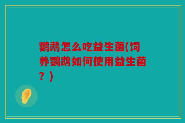 鹦鹉怎么吃益生菌(饲养鹦鹉如何使用益生菌？)