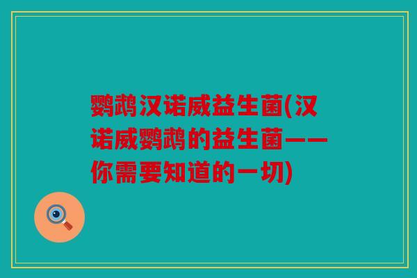 鹦鹉汉诺威益生菌(汉诺威鹦鹉的益生菌——你需要知道的一切)