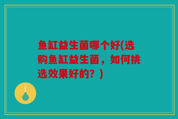 鱼缸益生菌哪个好(选购鱼缸益生菌，如何挑选效果好的？)
