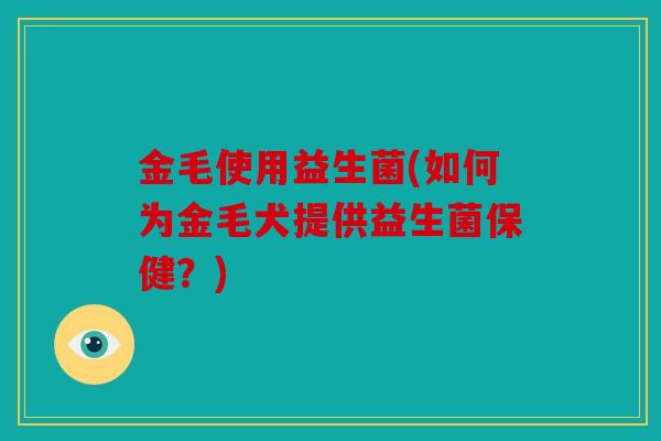 金毛使用益生菌(如何为金毛犬提供益生菌保健？)