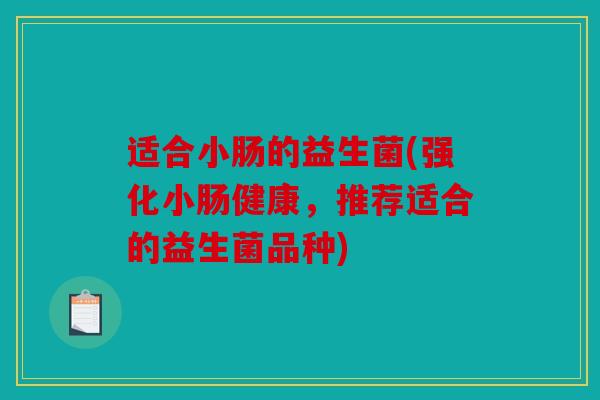 适合小肠的益生菌(强化小肠健康，推荐适合的益生菌品种)