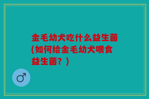 金毛幼犬吃什么益生菌(如何给金毛幼犬喂食益生菌？)