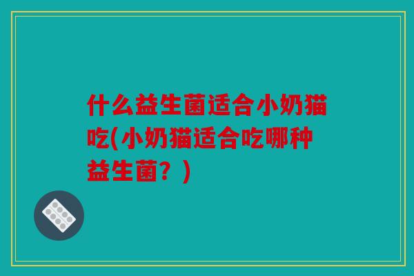什么益生菌适合小奶猫吃(小奶猫适合吃哪种益生菌？)