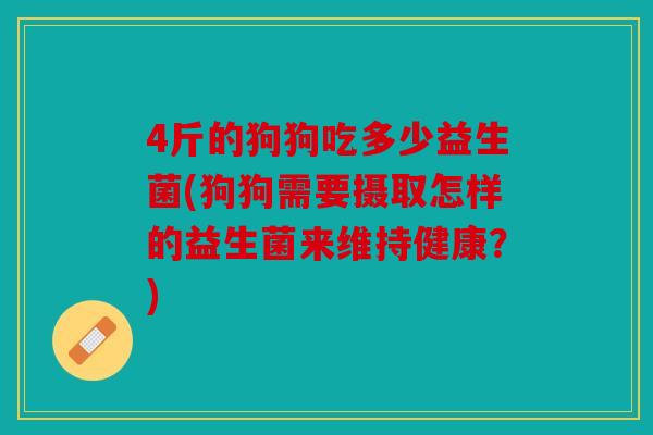 4斤的狗狗吃多少益生菌(狗狗需要摄取怎样的益生菌来维持健康？)