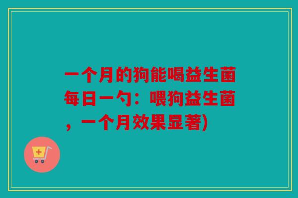 一个月的狗能喝益生菌每日一勺：喂狗益生菌，一个月效果显著)