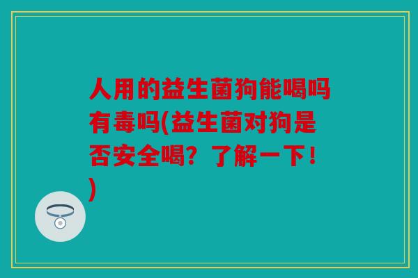 人用的益生菌狗能喝吗有毒吗(益生菌对狗是否安全喝？了解一下！)