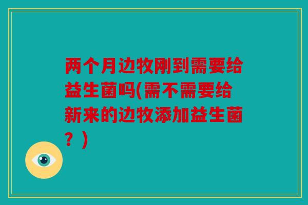 两个月边牧刚到需要给益生菌吗(需不需要给新来的边牧添加益生菌？)
