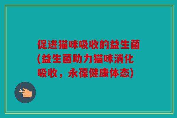 促进猫咪吸收的益生菌(益生菌助力猫咪消化吸收，永葆健康体态)