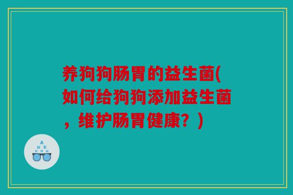 养狗狗肠胃的益生菌(如何给狗狗添加益生菌，维护肠胃健康？)