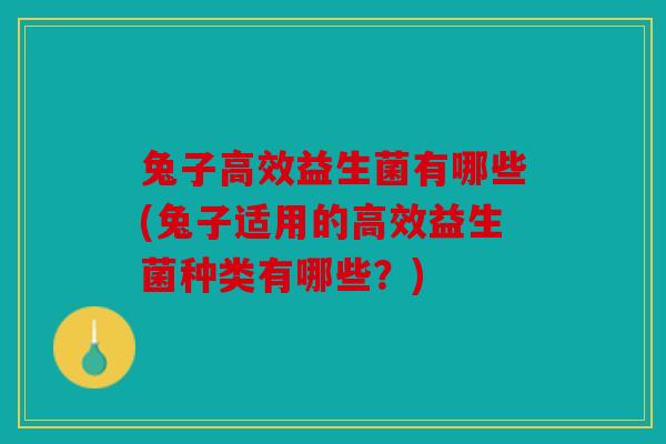 兔子高效益生菌有哪些(兔子适用的高效益生菌种类有哪些？)