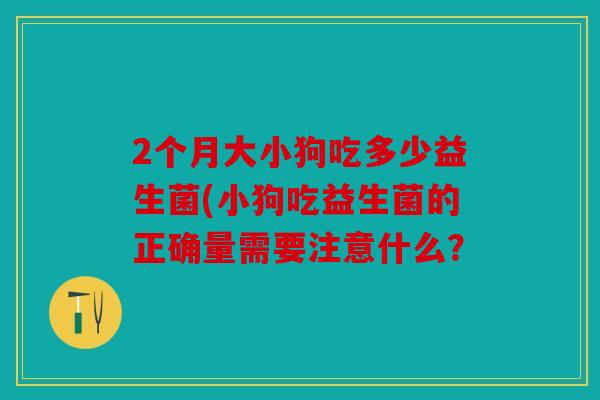 2个月大小狗吃多少益生菌(小狗吃益生菌的正确量需要注意什么？