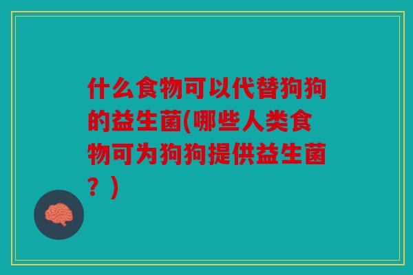 什么食物可以代替狗狗的益生菌(哪些人类食物可为狗狗提供益生菌？)