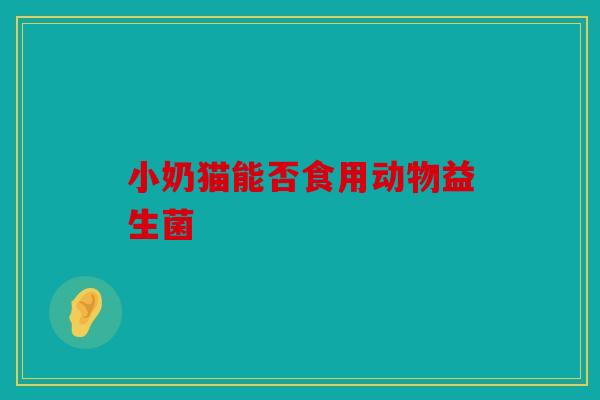 小奶猫能否食用动物益生菌