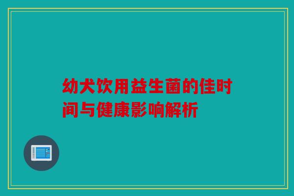 幼犬饮用益生菌的佳时间与健康影响解析