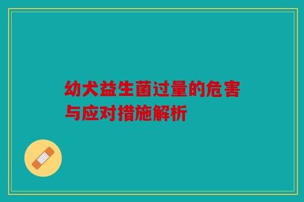 幼犬益生菌过量的危害与应对措施解析