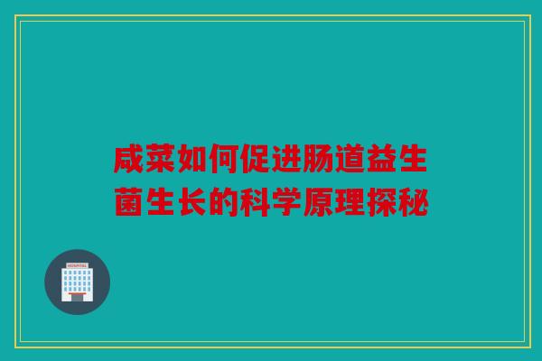 咸菜如何促进肠道益生菌生长的科学原理探秘