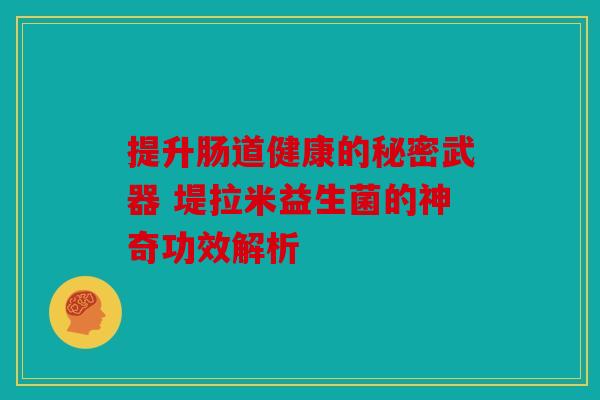 提升肠道健康的秘密武器 堤拉米益生菌的神奇功效解析