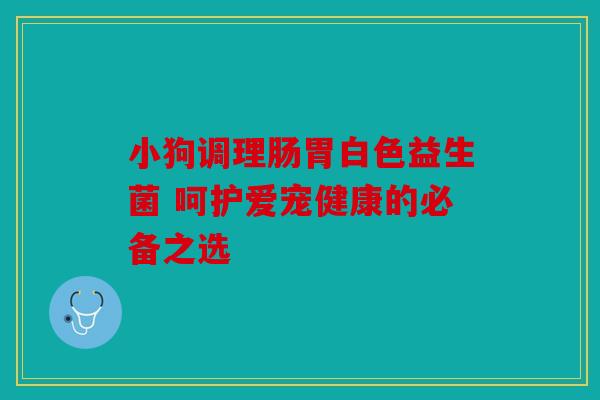 小狗调理肠胃白色益生菌 呵护爱宠健康的必备之选