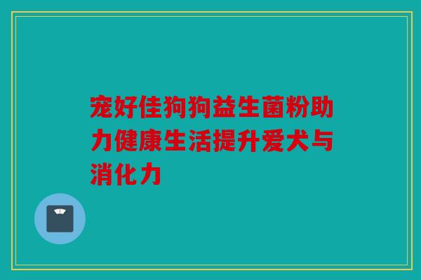 宠好佳狗狗益生菌粉助力健康生活提升爱犬与消化力