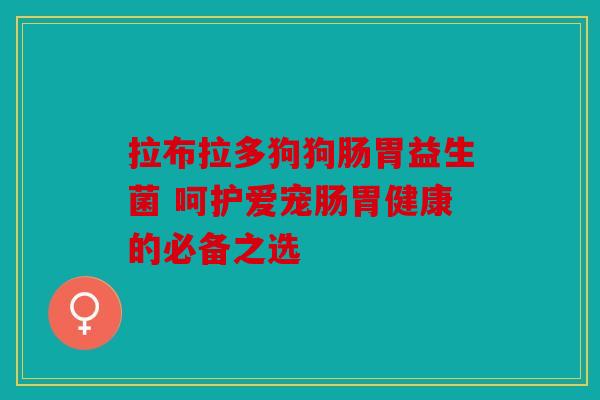 拉布拉多狗狗肠胃益生菌 呵护爱宠肠胃健康的必备之选 拉布拉多狗狗肠胃益生菌 呵护爱宠肠胃健康的必备之选