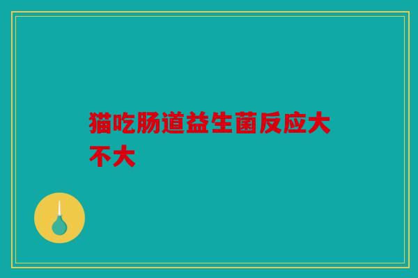 猫吃肠道益生菌反应大不大 猫吃肠道益生菌反应大不大