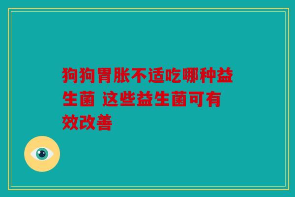 狗狗胃胀不适吃哪种益生菌 这些益生菌可有效改善