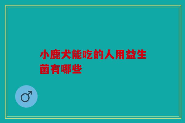 小鹿犬能吃的人用益生菌有哪些