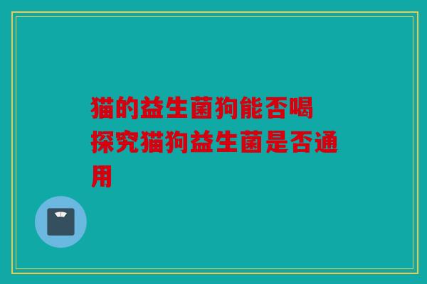 猫的益生菌狗能否喝 探究猫狗益生菌是否通用